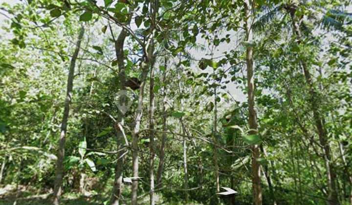 Dijual Tanah Murah Dekat Wisata Alam Kulon Progo Yogyakarta