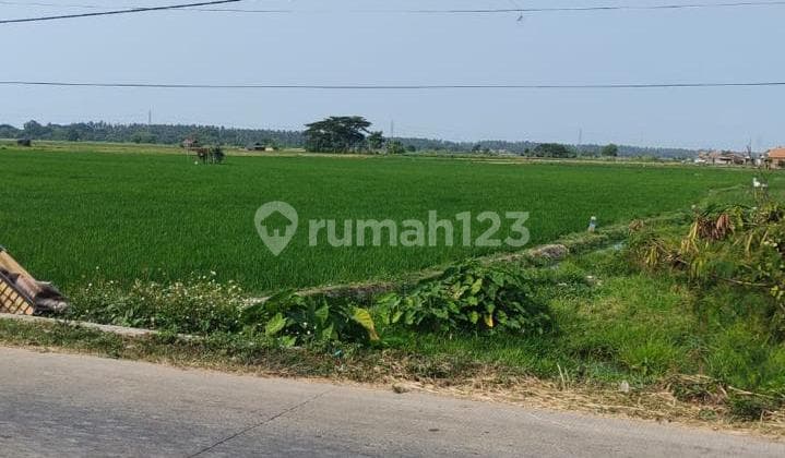 For Sale Land Located on Main Road, Mauk Tegal Kunir Lor Main Road