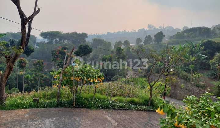 Tanah SHM View Bagus di Lembang , Bandung Barat