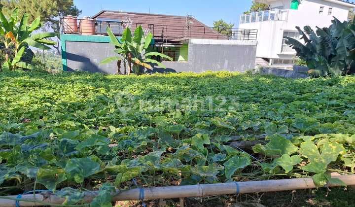 Tanah Dijual Strategis di Area Katumiri, Cihanjuang - Cimahi 07