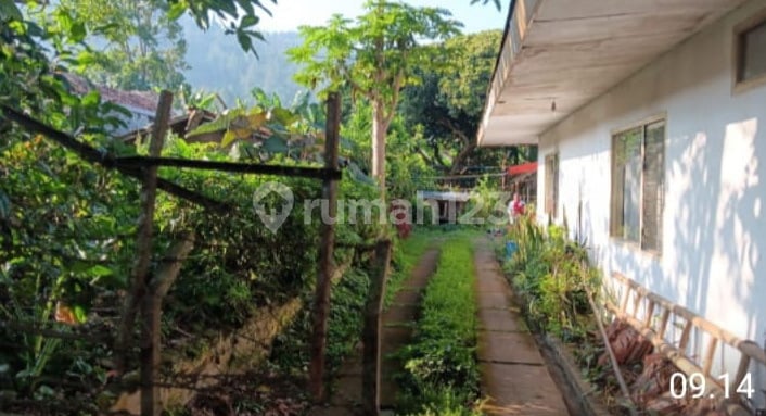 Tanah Kebun Dijual Bonus Bangunan di Area Cikole, Lembang 21