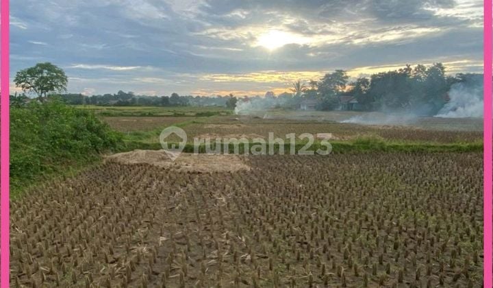 Dijual Tanah Padat Sawah Di Babat Legok Tangerang Banten. Lt 935