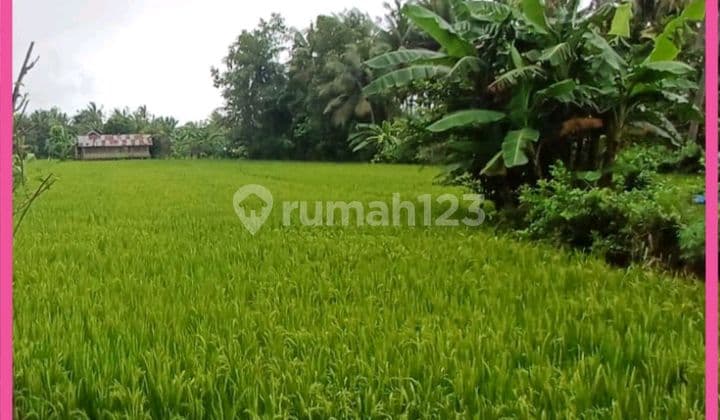 Dijual Tanah Siap Bangun Di Jl Raya By Pass Bandara Int Lombok.