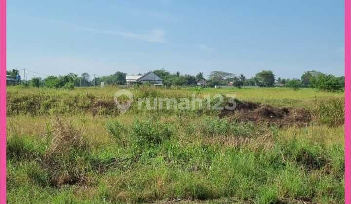 Dijual Tanah 6ha Desa Mekarsari Permai, Cikande. Shgb. Murah.