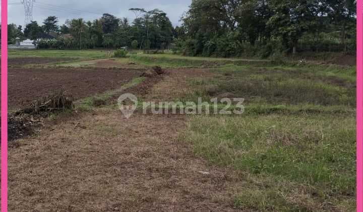 Dijual Tanah di Pamarayan, Serang, Banten. Lt 10ha. Shm. Murah