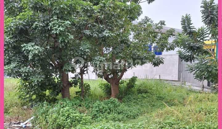 Dijual Tanah Siap Bangun di Bojong Sari, Pondok Petir, Depok.