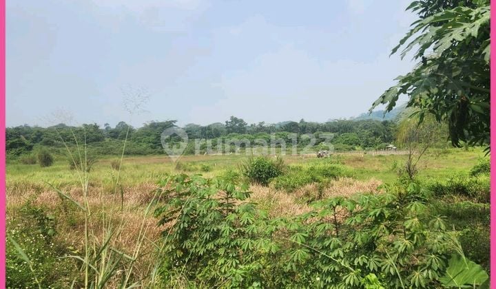 Dijual Tanah Siap Bangun Tepi Jalan Raya Rumpin Bogor. Lt 1.7 Ha