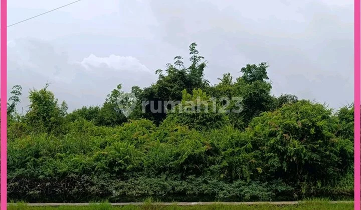 Dijual Tanah Siap Bangun di Gambut Banjar Kalimantan Selatan. SHM