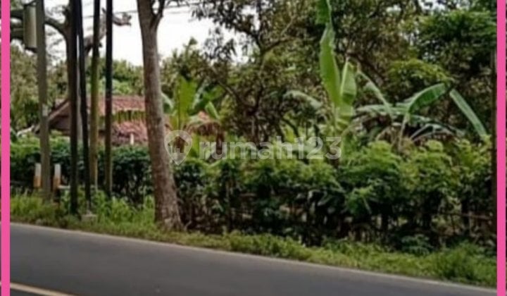Dijual Tanah Siap Bangun di Narimbang Rangkasbitung Lebak Banten.