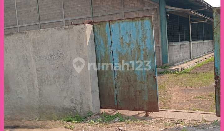 Disewakan Gudang Siap Pakai di Pancatama, Serang, Banten. Murah
