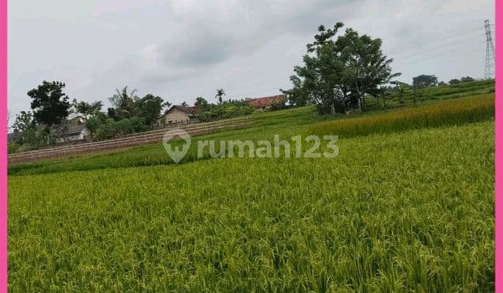 Dijual Tanah Sawah Darat 15 Ha di Cikande Serang Banten. SHM.