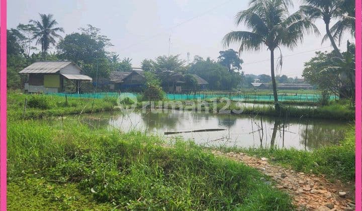 Dijual Tanah Empang Di Patung Hansip Bojong Indah Parung Bogor.