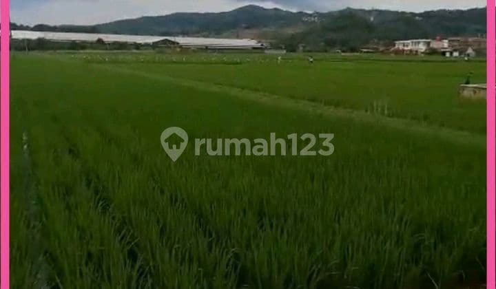 Dijual Tanah Di Jelekong Kabupaten Bandung. Luas Tanah 3248m2.