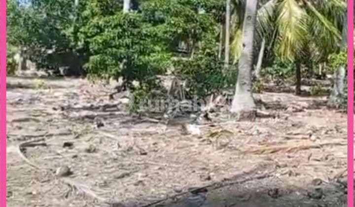 Dijual Tanah Siap Bangun Di Pantai Loedi Rote Ndao Ntt. Lt 1400