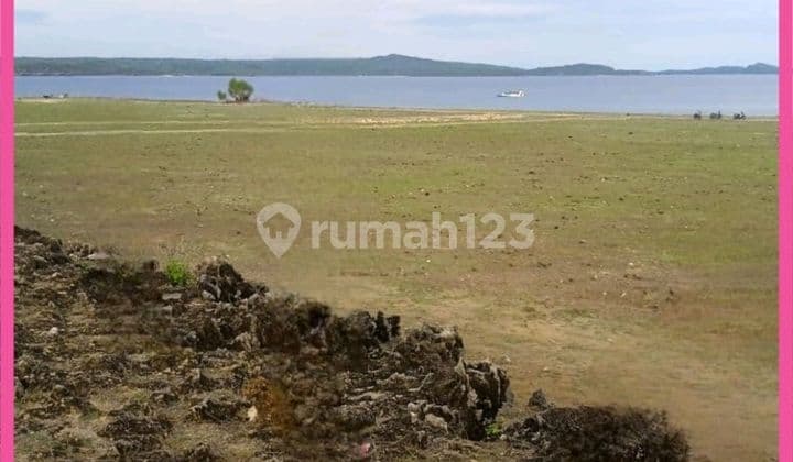 Dijual Tanah Siap Bangun Luas 5829m2 Di Pantai Loedi Kec Boa Ntt