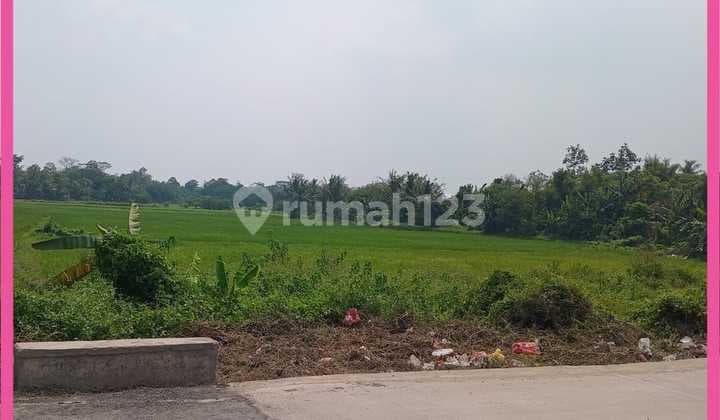 Dijual Tanah 16Ha di Kopo, Serang, Banten. Shm. Murah.