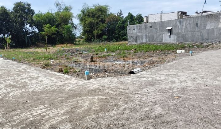 Tanah Murah Sidoarjo Prambon 95juta Shm Siap Balik Nama