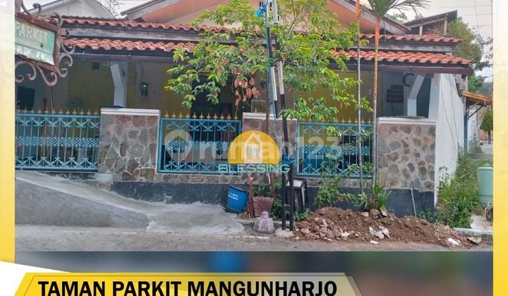 For rent beautiful house with parakeet garden in Mangunharjo, Tembalang.