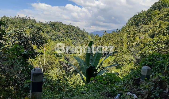 Jual Tanah dipinggir jalan raya Airmadidi Tondano Manado