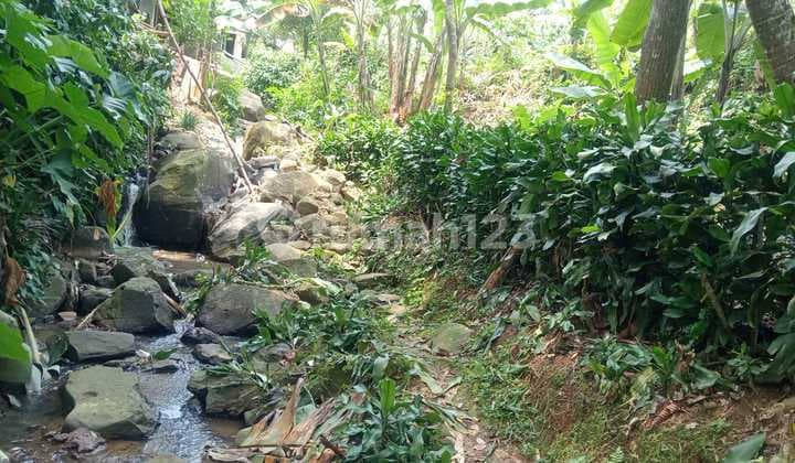 Affordable Land at Gunung Geulis Sumarecon Bogor