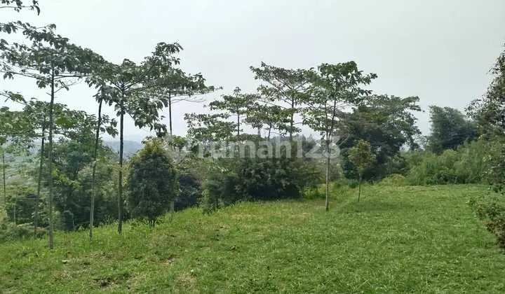 Cheap Land Cijeruk Freehold Certificate