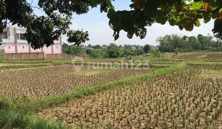 Tanah Pinggir Jalan Raya Cariu Jonggol Shm