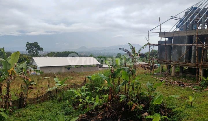 Tanah Murah Cijeruk Legalitas Hak Milik Best