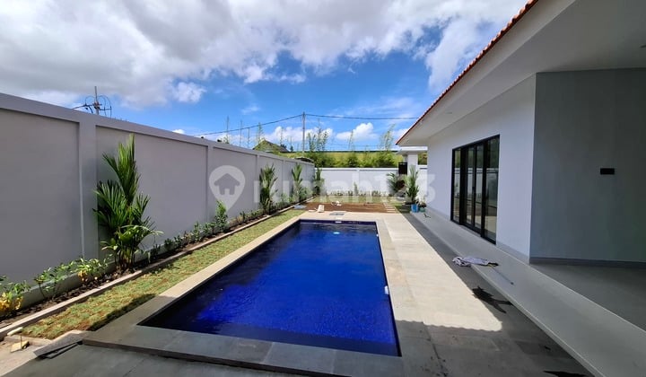 Villa Available For Rent In Kerobokan Area