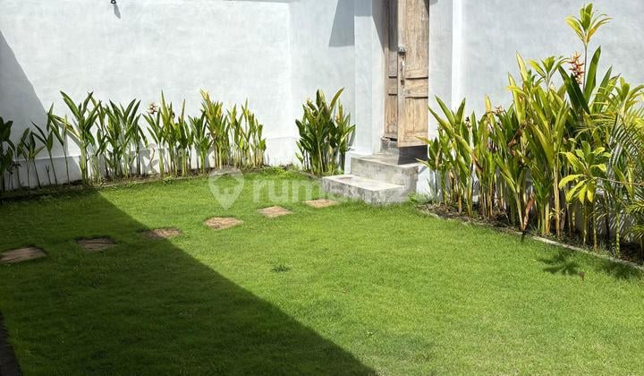 Available House For Rent In Canggu Area