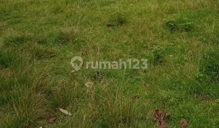 Di Jual Kavling Keren Nice di Simpruk Claster Di Jual Kavling Keren Nice di Simpruk Claster