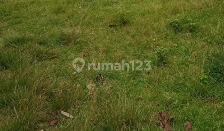 Di Jual Kavling Keren Nice di Simpruk Claster