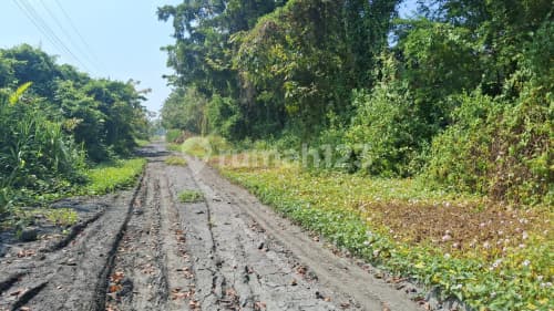 Dijual Tanah daerah Madukoro Semarang Barat(A4434)