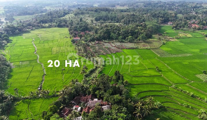 Dijual Tanah 27 Hektar di Cilaku Cianjur Cocok Wisata Alam
