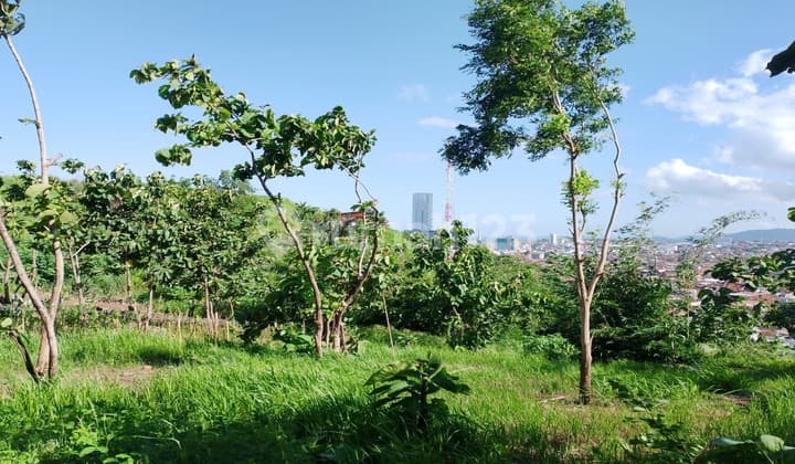 Dijual Cepat Tanah 28950 m2 di Tanjung Karang Lampung