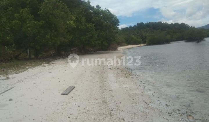 DIJUAL Tanah di Pahawang Lampung Luas 2.3 Hektar SHM