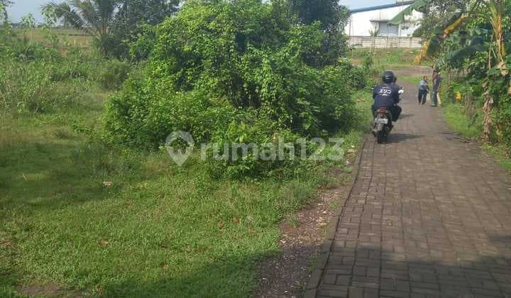 Dijual Cepat Tanah Kawasan Modern Cikande Luas 2.5 - 40 Hektar