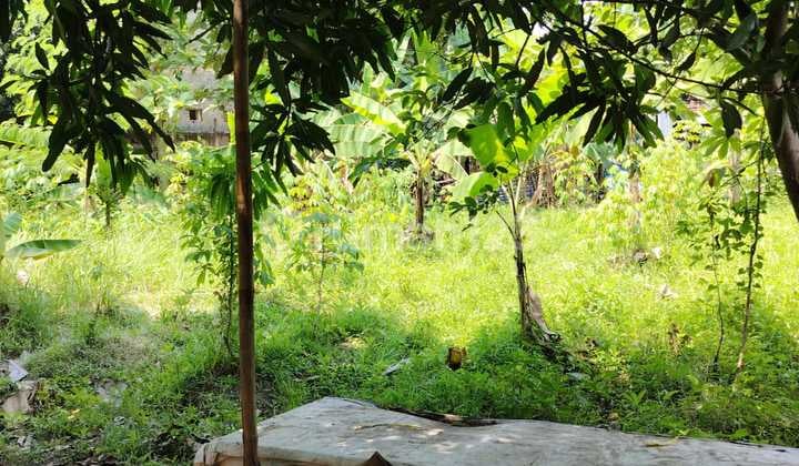 DIJUAL Kavling Komersial Klari Karawang Timur Luas 7700 m2 SHM