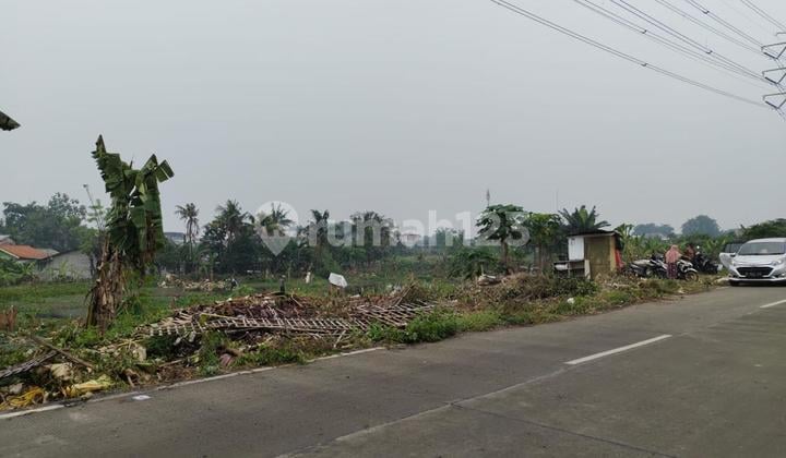 DIJUAL Kavling di Jl. Sukamandi Raya, Batu Ceper Luas 5010 m2