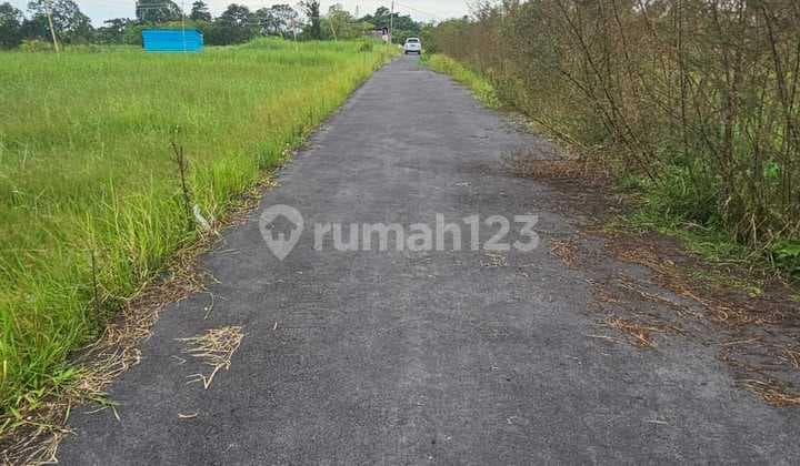 Tanah 3.5 Are Zona Pink 100 Meter Pantai Kedungu Tabanan View Laut Sawah
