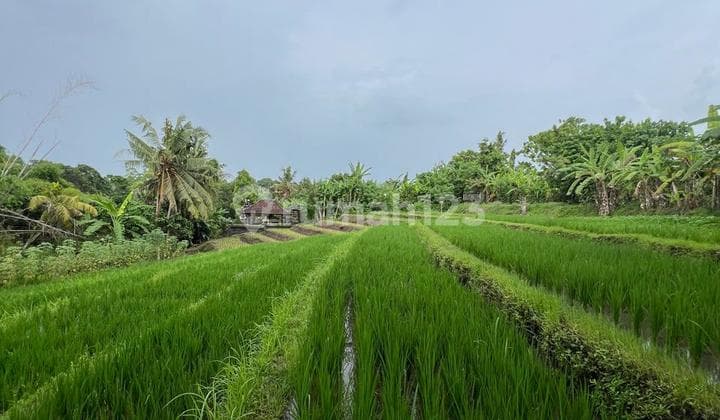 Lahan Villa Premium Sudimara Kalang Anyar - View Sungai & Sawah