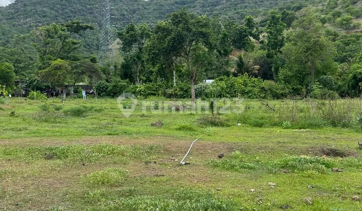 TANAH LOS PANTAI BALI BARAT, GEROKGAK, BULELENG