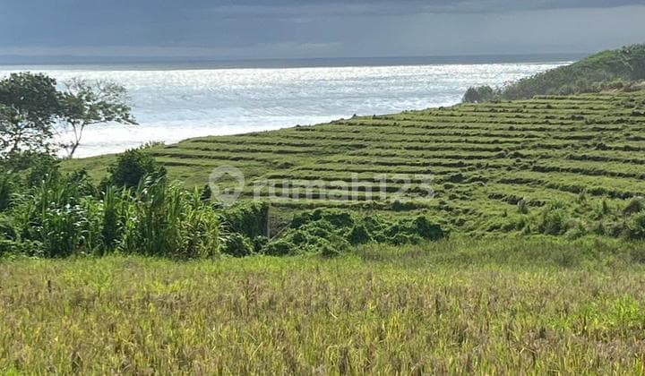 Tanah Premium View Laut & Sawah di Kelecung, Tabanan!