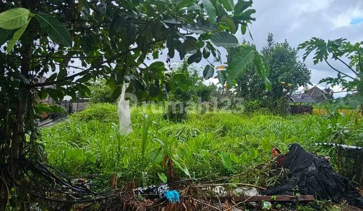 Land with Rice Field View by Main Road - Selukat Keramas Gianyar