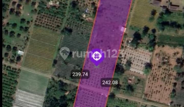 Jual Tanah Pinggir Jalan Petang Badung dengan View Sawah