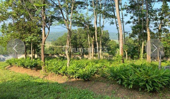 Kavling murah di Jonggol untuk Villa sudah SHM