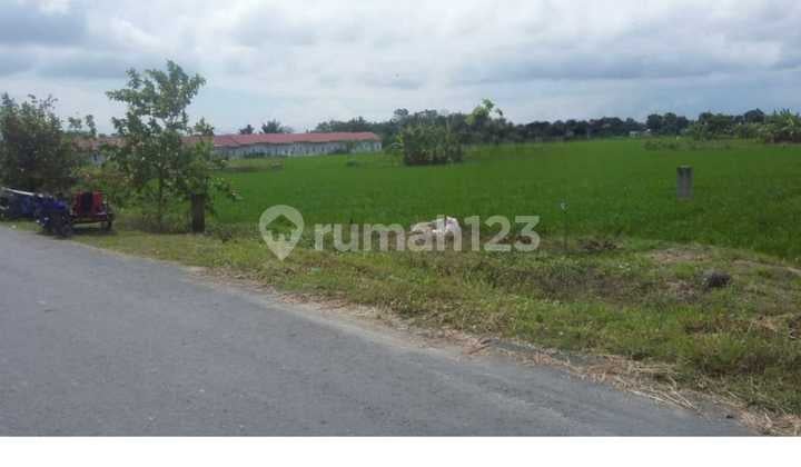 Dijual Tanah di Batang Kuis Sertifikat Hak Milik