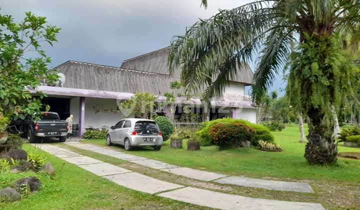 Di Jual Tanah Gratis Rumah dan Kebun Sawit