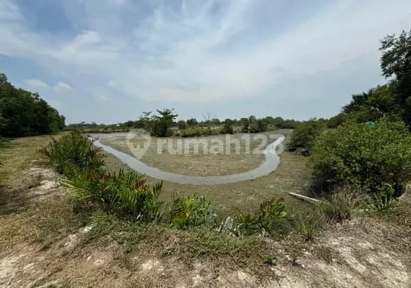 Dijual Tanah Ex Tambak ikan Area sangat Luas