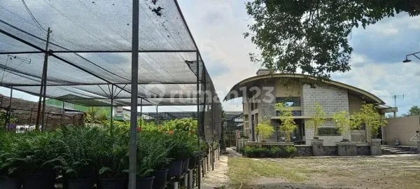 Dijual Villa Cantik beserta taman bunga di Jamin ginting