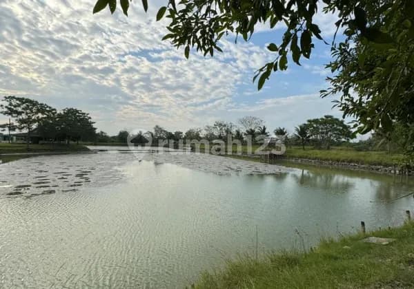 dijual Tanah Ex Tambak ikan Luas di Percut